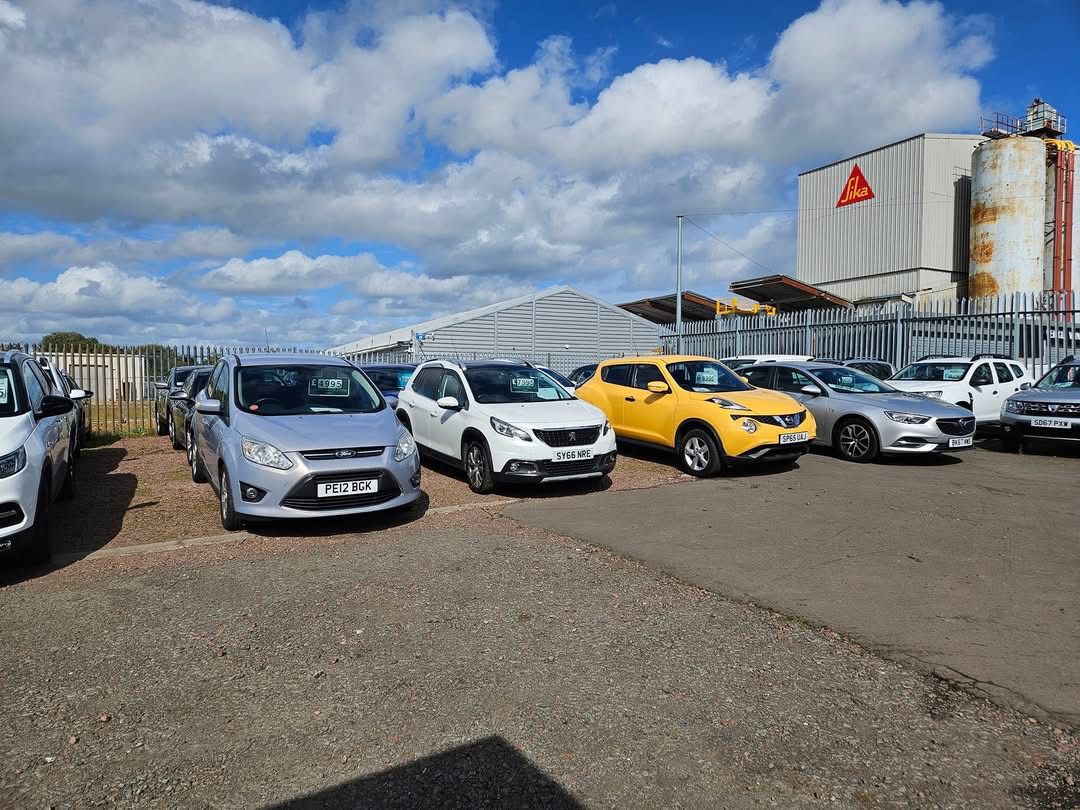 WhatsApp Image 2026-02-06 at 1.28.29 PM (3)